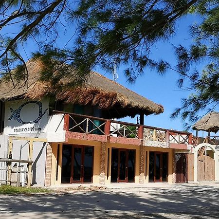 Xcalak Caribe Lodge Exterior foto